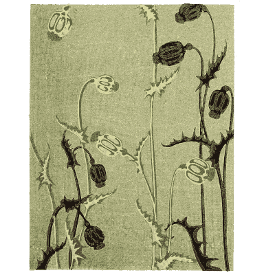 Poppy seed pod pattern plate - Shin Bijutsukai, Issue 12 - 1902