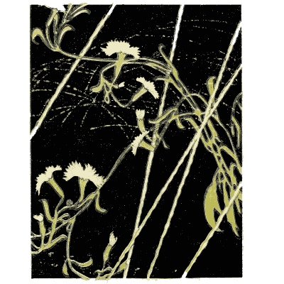 Pink and grass pattern plate - Shin Bijutsukai, Issue 13 - 1902