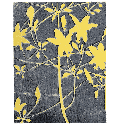 Iris pattern plate - Shin Bijutsukai, Issue 13 - 1902