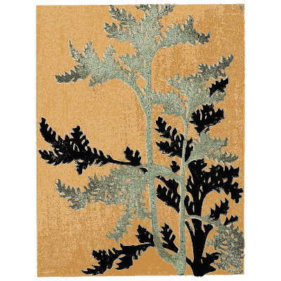 Branch pattern plate on orange - Shin Bijutsukai, Issue 13 - 1902