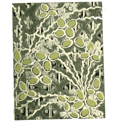Leafy vine pattern plate - Shin Bijutsukai, Issue 15 - 1902