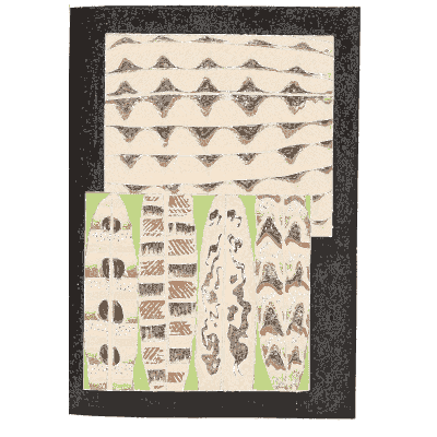 Framed panel plate on black - Shin Bijutsukai, Volume 2 - 1902