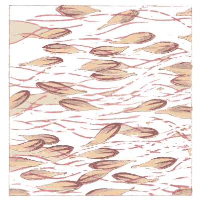 Faint streak pattern plate - Shin Bijutsukai, Volume 2 - 1902
