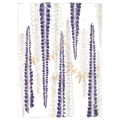 Wisteria pattern plate - Shin Bijutsukai, Volume 2 - 1902