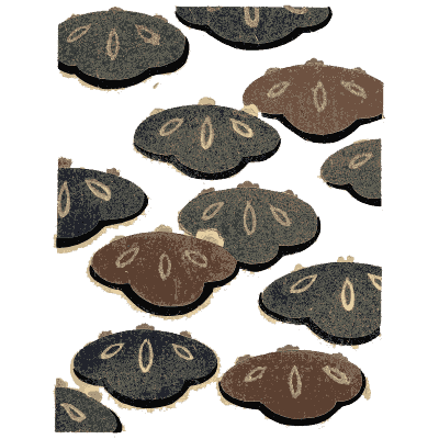 Pebble pattern plate - Shin Bijutsukai, Issue 20 - 1902