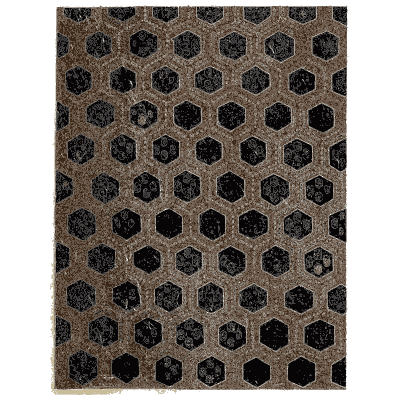 Hexagon net pattern plate - Shin Bijutsukai, Issue 22 - 1902