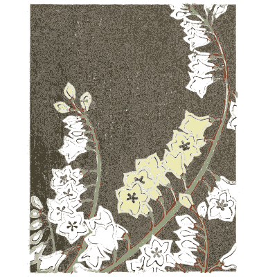 Flowering stem pattern plate - Shin Bijutsukai, Issue 23 - 1902