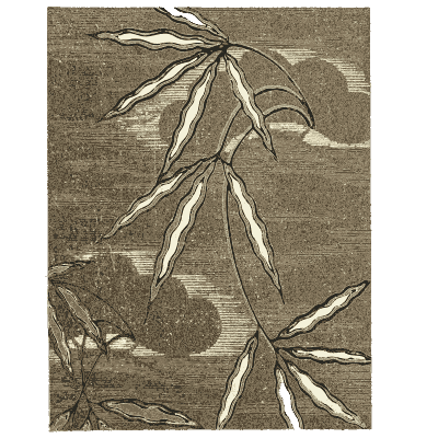Bamboo leaf pattern plate on brown - Shin Bijutsukai, Issue 24 - 1902