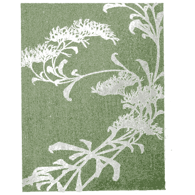 Flowering plant pattern plate on green - Shin Bijutsukai, Issue 24 - 1902