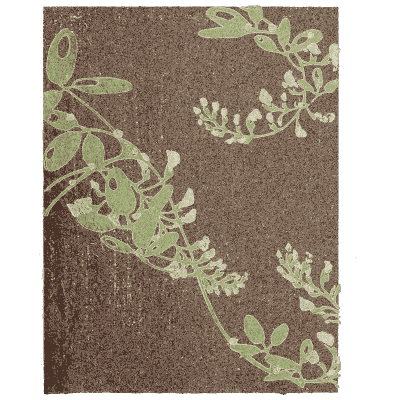 Mottled vine pattern plate - Shin Bijutsukai, Issue 24 - 1902