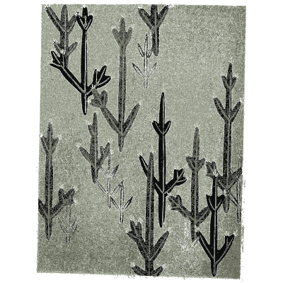 Reed and grass pattern plate - Shin Bijutsukai, Issue 26 - 1902