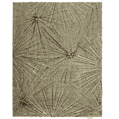 Starburst grass pattern plate - Shin Bijutsukai, Issue 27 - 1902