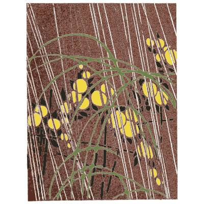 Flower and streak pattern plate - Shin Bijutsukai, Issue 30 - 1902
