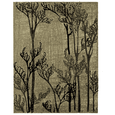 Bare tree pattern plate - Shin Bijutsukai, Issue 31 - 1902