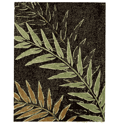 Fern frond pattern plate - Shin Bijutsukai, Issue 31 - 1902