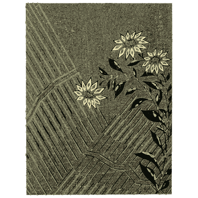 Chrysanthemum and diagonal line plate - Shin Bijutsukai, Issue 31 - 1902
