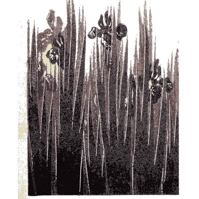 Iris and reed pattern plate - Shin Bijutsukai, Issue 33 - 1902