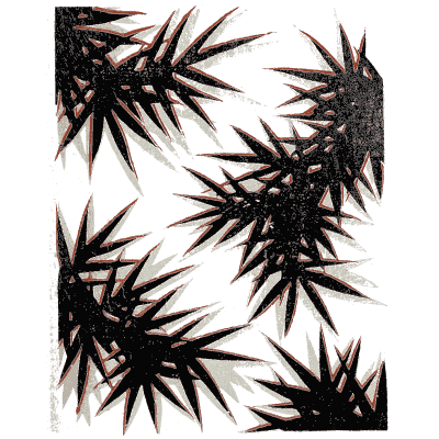 Pine needle cluster pattern plate - Shin Bijutsukai, Issue 33 - 1902