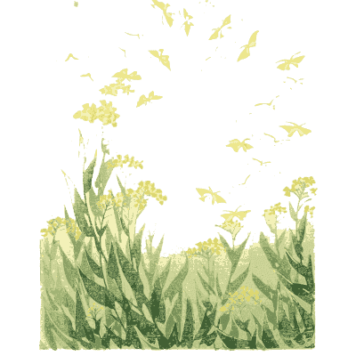 Faint grass pattern plate - Shin Bijutsukai, Issue 33 - 1902