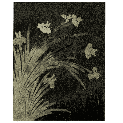 Iris and grass pattern plate on black - Shin Bijutsukai, Issue 34 - 1902