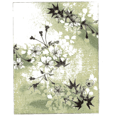 Cherry blossom and maple plate - Shin Bijutsukai, Issue 35 - 1902