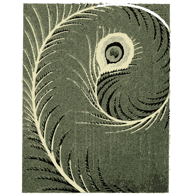 Peacock feather plate - Shin Bijutsukai, Issue 36 - 1902