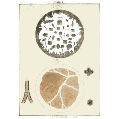 Crystal fields under the lens - Amusement Microscopique (Mikroskopische Gemuths- und Augen-Ergotzung) - 1764