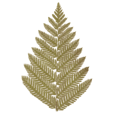 Brown lacy fern frond - Ferns: British and Exotic - 1856