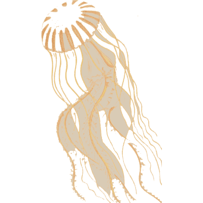 Jellyfish with long curling tentacles - Medusae of the World, Volume 3 - 1910