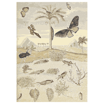 Butterflies over a palm landscape - Metamorphosis Insectorum Surinamensium - 1719