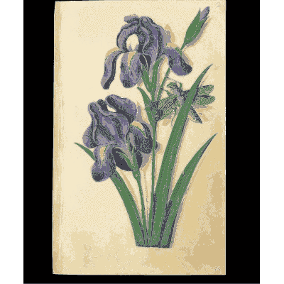 Purple irises - Book of Flower Studies - 1515
