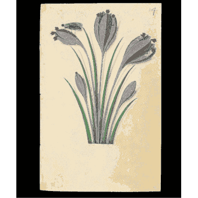 Crocus-like buds among narrow leaves - Book of Flower Studies - 1515