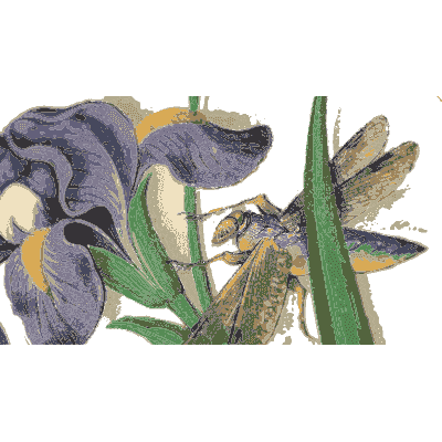 Iris with a grasshopper - Book of Flower Studies - 1515