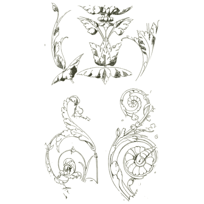 Acanthus scroll foliage - Handbook of Ornament - 1900