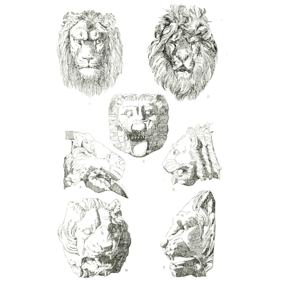 Lion masks - Handbook of Ornament - 1900