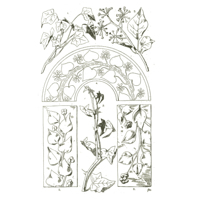 Ivy and vine ornament - Handbook of Ornament - 1900