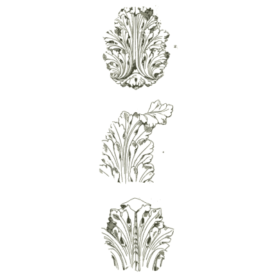 Acanthus leaves - Handbook of Ornament - 1900