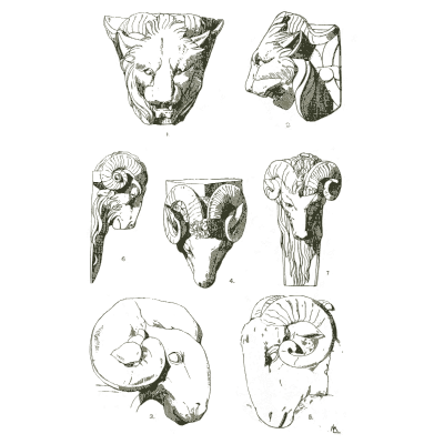 Animal heads and skulls - Handbook of Ornament - 1900