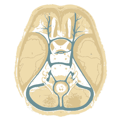 Venous sinuses of the skull base - An Atlas of Anatomy, or Pictures of the Human Body - 1879