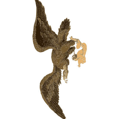Bird of paradise in display - Arcana, or the Museum of Natural History - 1811