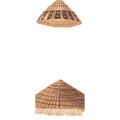 Conical limpets - Conchology, or the Natural History of Shells - 1811