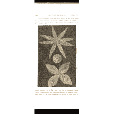 Petalled star ornament - Mycenae: A Narrative of Researches and Discoveries - 1880