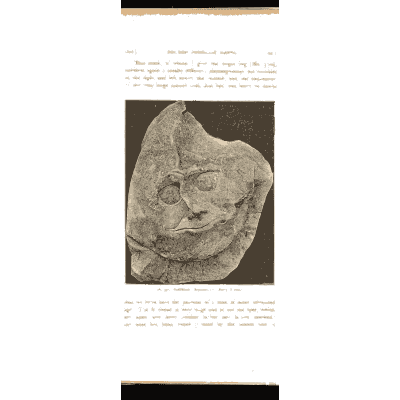 Gold face mask 01 - Mycenae: A Narrative of Researches and Discoveries - 1880