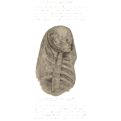Skeleton in a grave - Mycenae: A Narrative of Researches and Discoveries - 1880