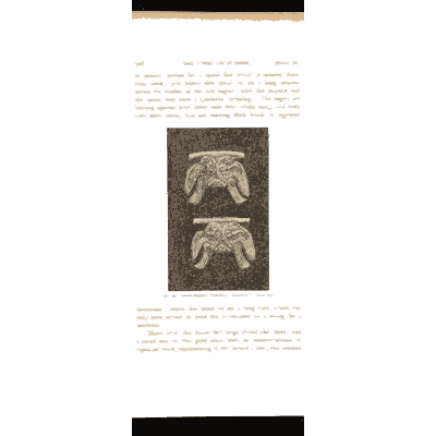 Winged gold plates - Mycenae: A Narrative of Researches and Discoveries - 1880