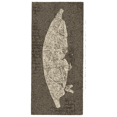 Inlaid bronze blade - Mycenae: A Narrative of Researches and Discoveries - 1880