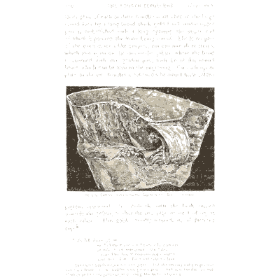 Folded gold sheet - Mycenae: A Narrative of Researches and Discoveries - 1880