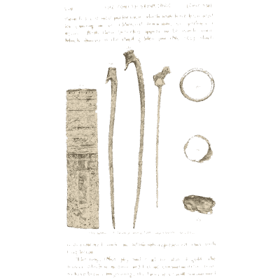 Bronze pins and rings - Mycenae: A Narrative of Researches and Discoveries - 1880