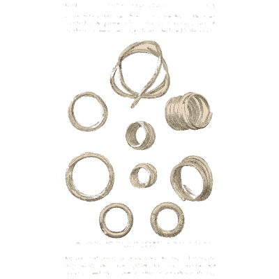 Coiled wire rings - Mycenae: A Narrative of Researches and Discoveries - 1880