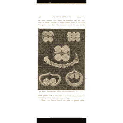 Gold spiral ornaments - Mycenae: A Narrative of Researches and Discoveries - 1880
